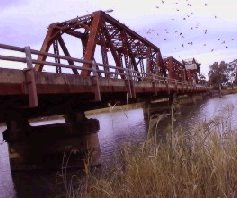 Paringa Bridge